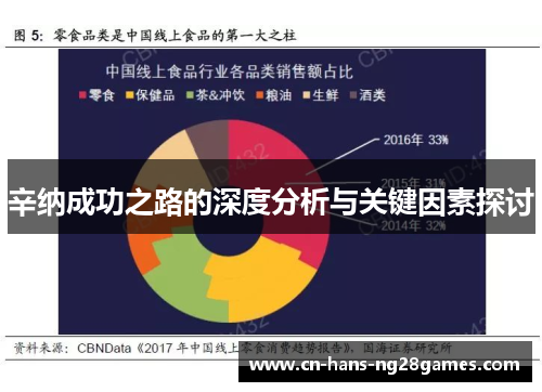 辛纳成功之路的深度分析与关键因素探讨