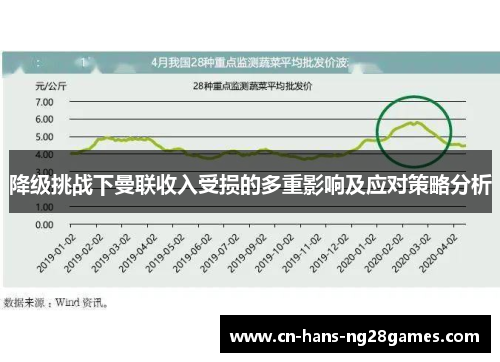 降级挑战下曼联收入受损的多重影响及应对策略分析 降级挑战下曼联收入受损的多重影响及应对策略分析