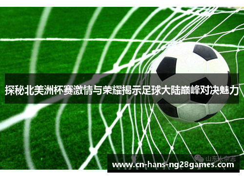 探秘北美洲杯赛激情与荣耀揭示足球大陆巅峰对决魅力