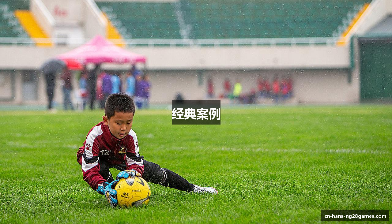 经典案例